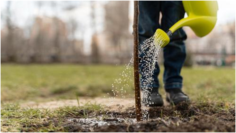 essential-lawn-care