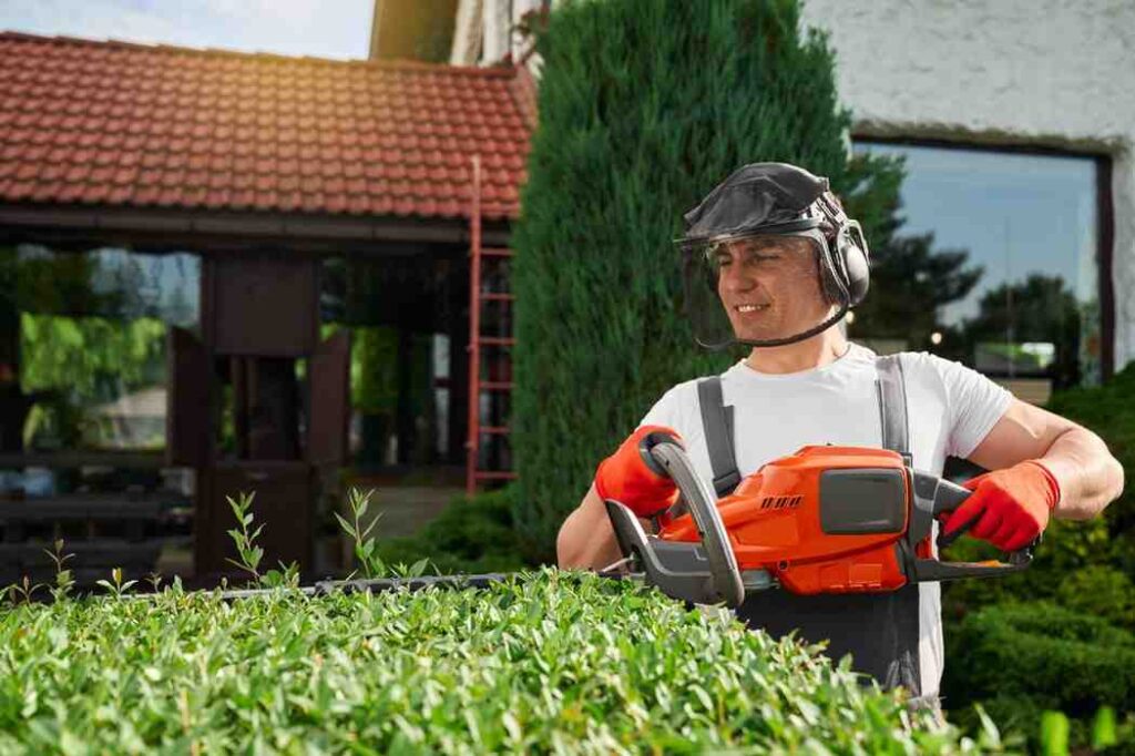Best Commercial Lawn Services