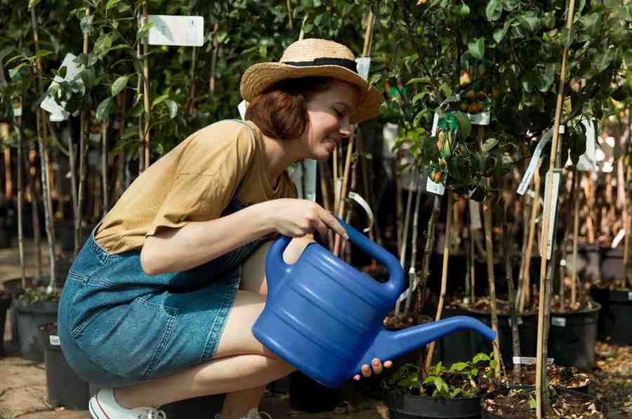 Watering and Irrigation Systems for Beginners