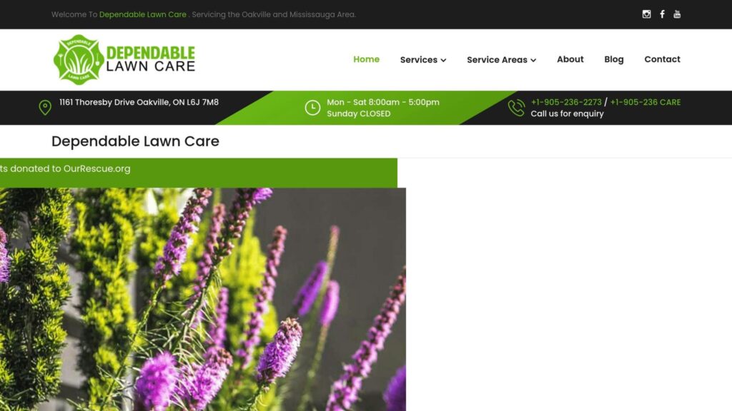 Dependable Lawn Care‘s Disease Management Services