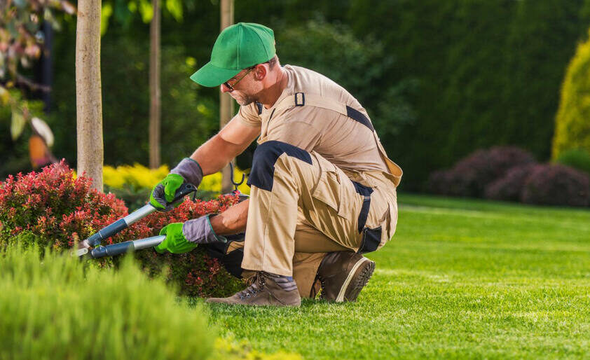 Best Lawn Care Service