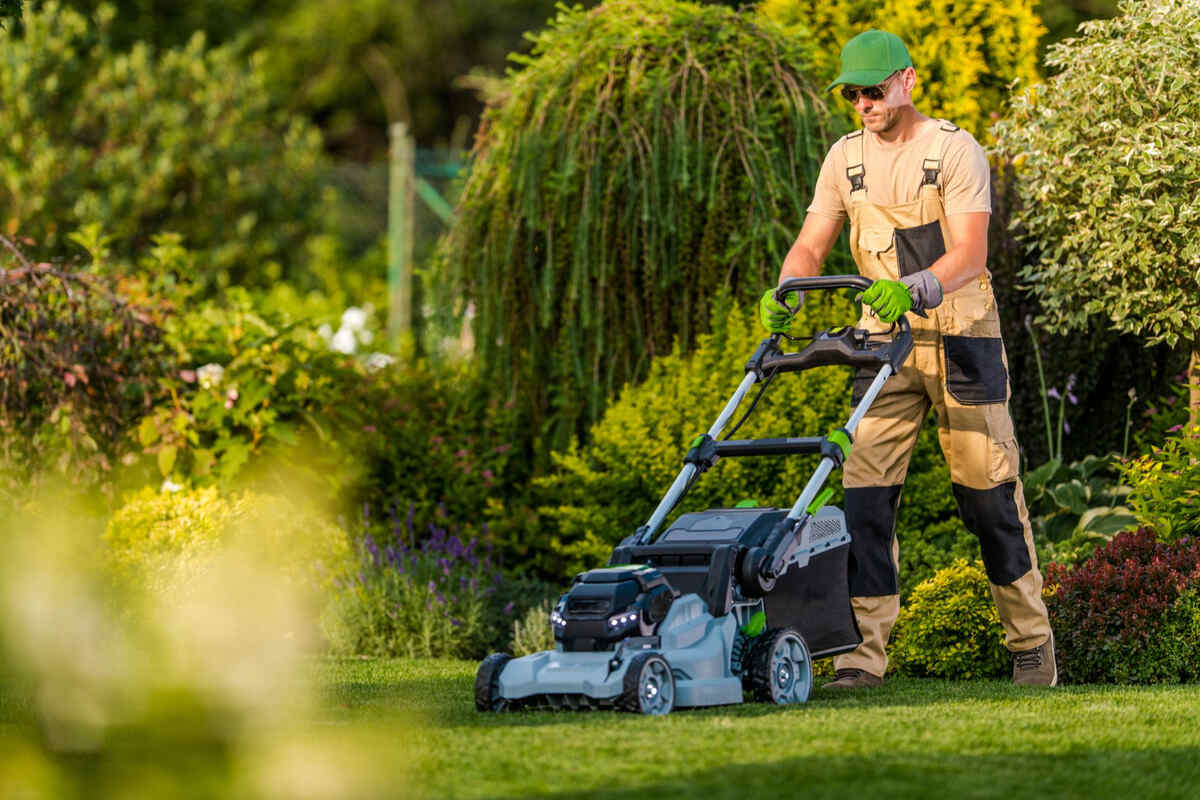 lawn-care-maintenance-service