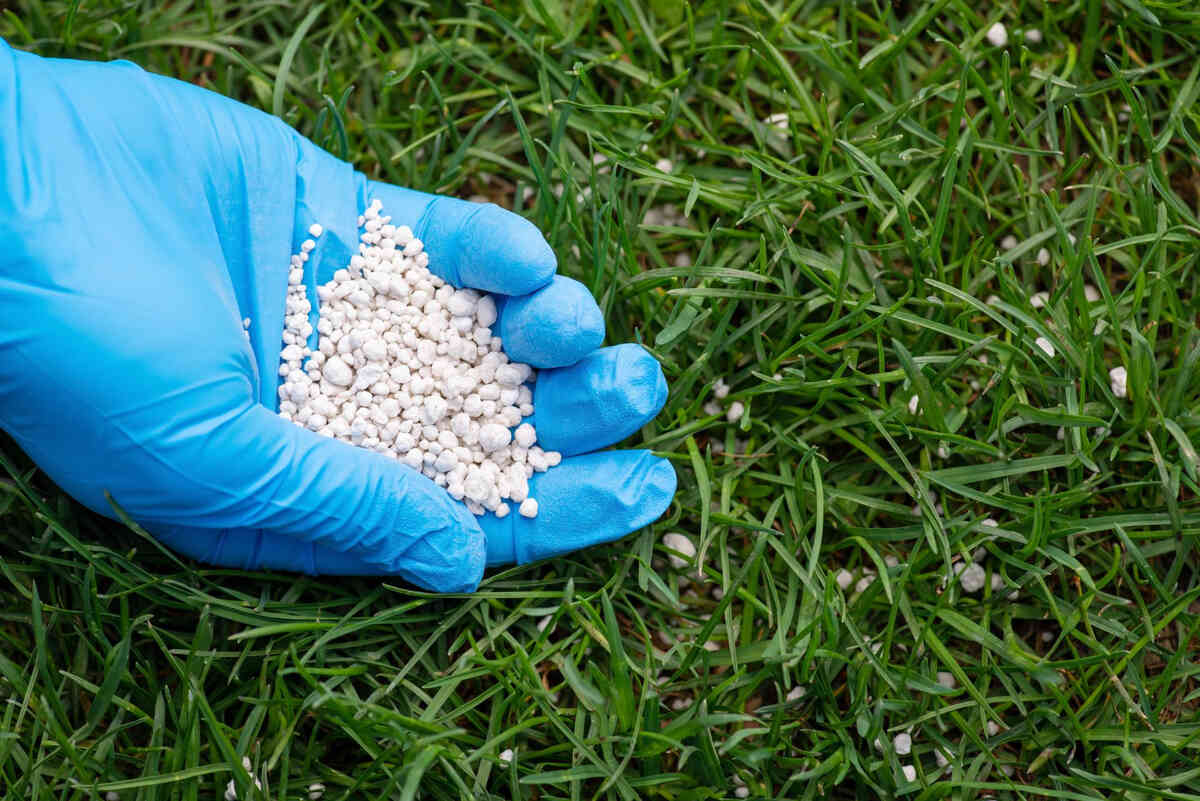 organic-fertilizer-for-lawns