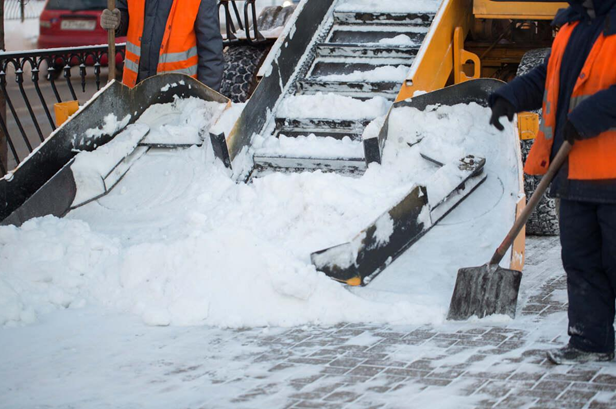 Snow Removal Services